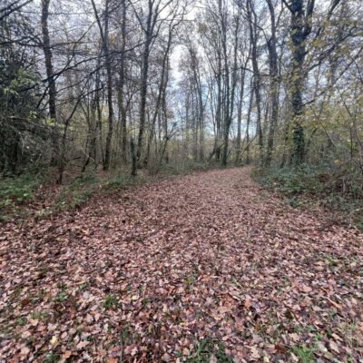 img_immo_312da579-c636-4ddd-9f58-caaac7280452-1