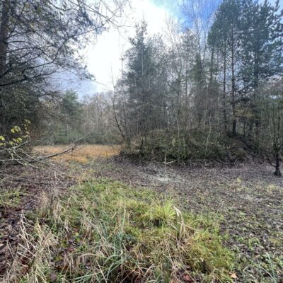 img_immo_fd5feaec-3fb4-4b61-bcdb-ced9eb7fad6b-1