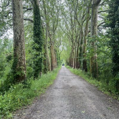 img_immo_b63f1ba6-9017-4358-bfae-2a1697ac1bad-5