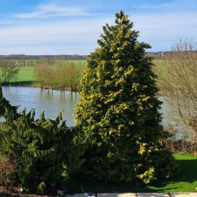 img_immo_cf6295eb-460f-423e-bb5e-888894f0b071-5